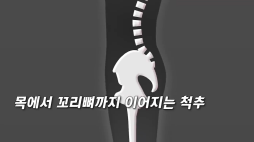 연합_허리디스크 건강